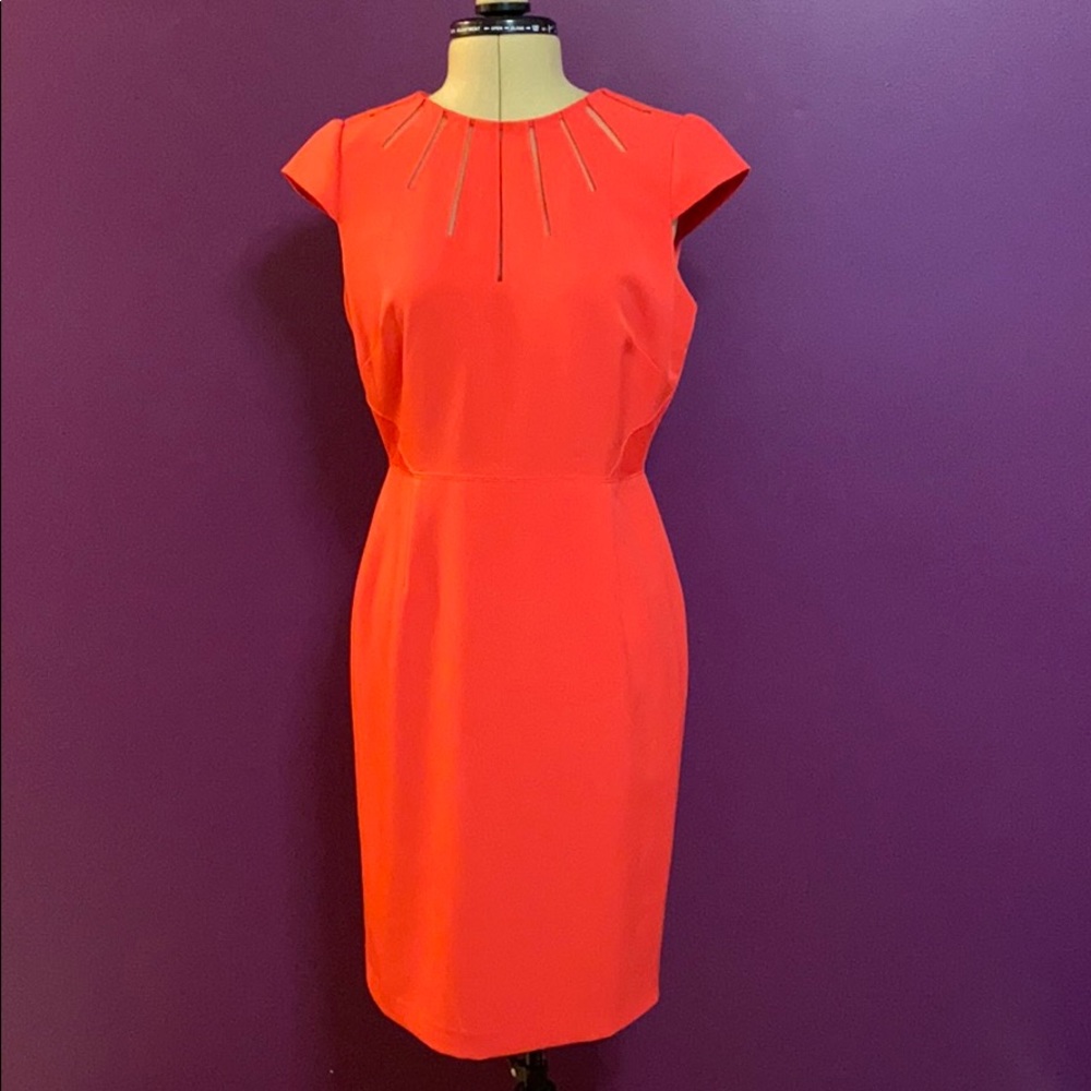 Adrianna Pappell fun boss babe dress alert! Size 6